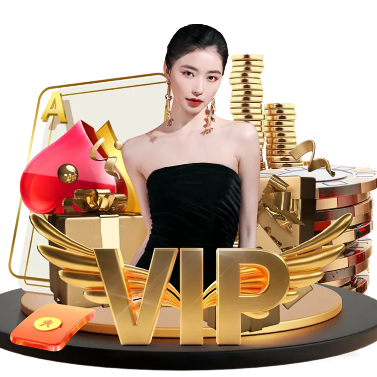 24/7 DDDJILI Customer Support